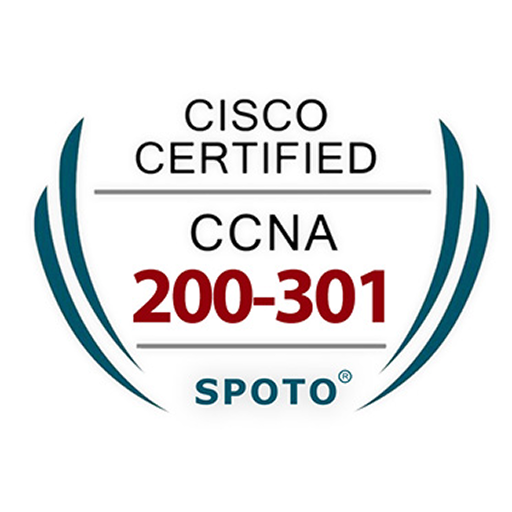 Cisco 200-301: Cisco Certified Network Associate (CCNA)